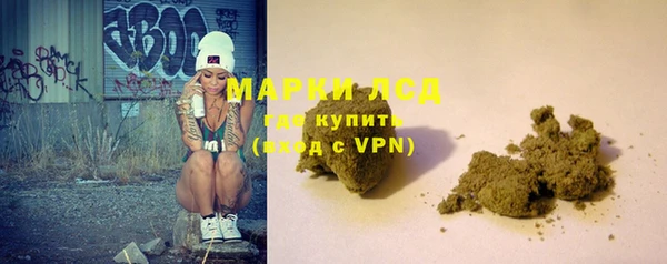 шишки Богородицк