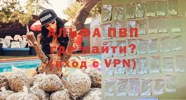 шишки Богородицк