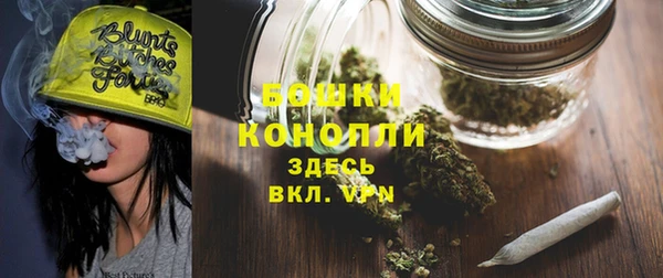шишки Богородицк