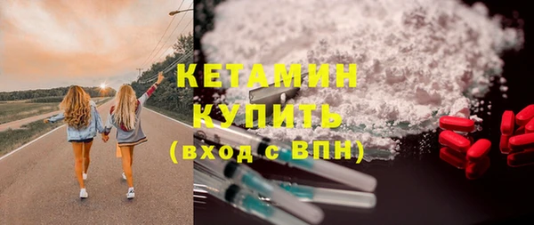 шишки Богородицк