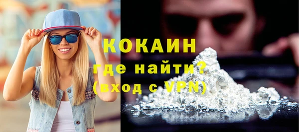 шишки Богородицк