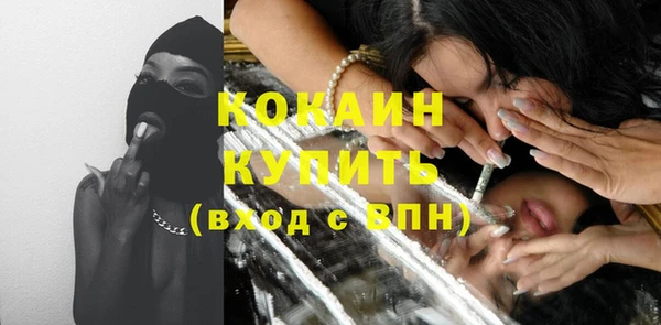 шишки Богородицк