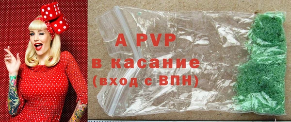 шишки Богородицк