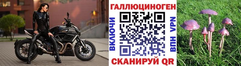 Купить где  Нижний Тагил  Псилоцибиновые грибы ЛСД 